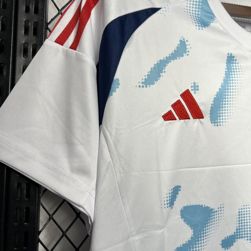 MAILLOT EXTÉRIEUR COSTA RICA 24-25