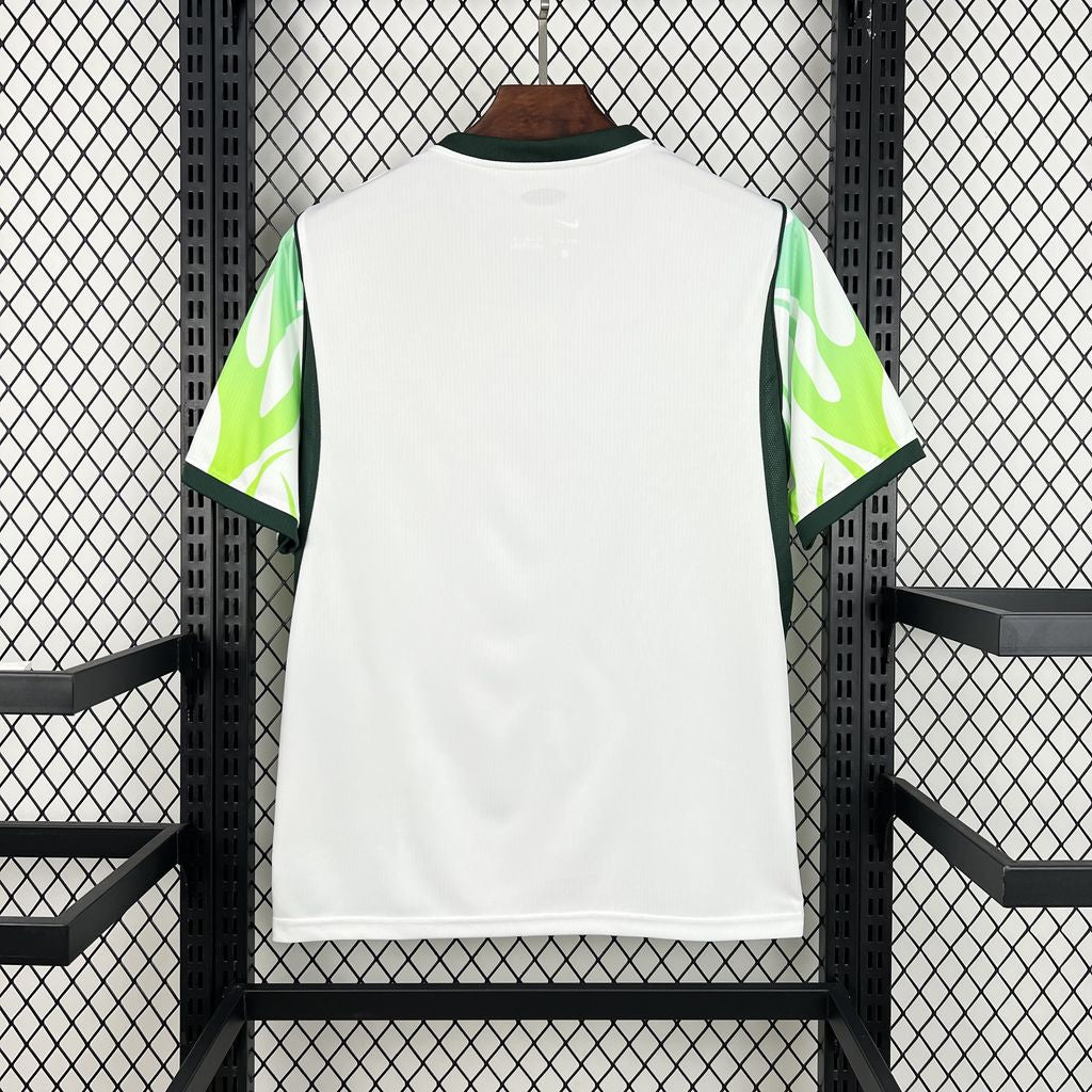 NIGERIA 2026 HEMMATRÖJA