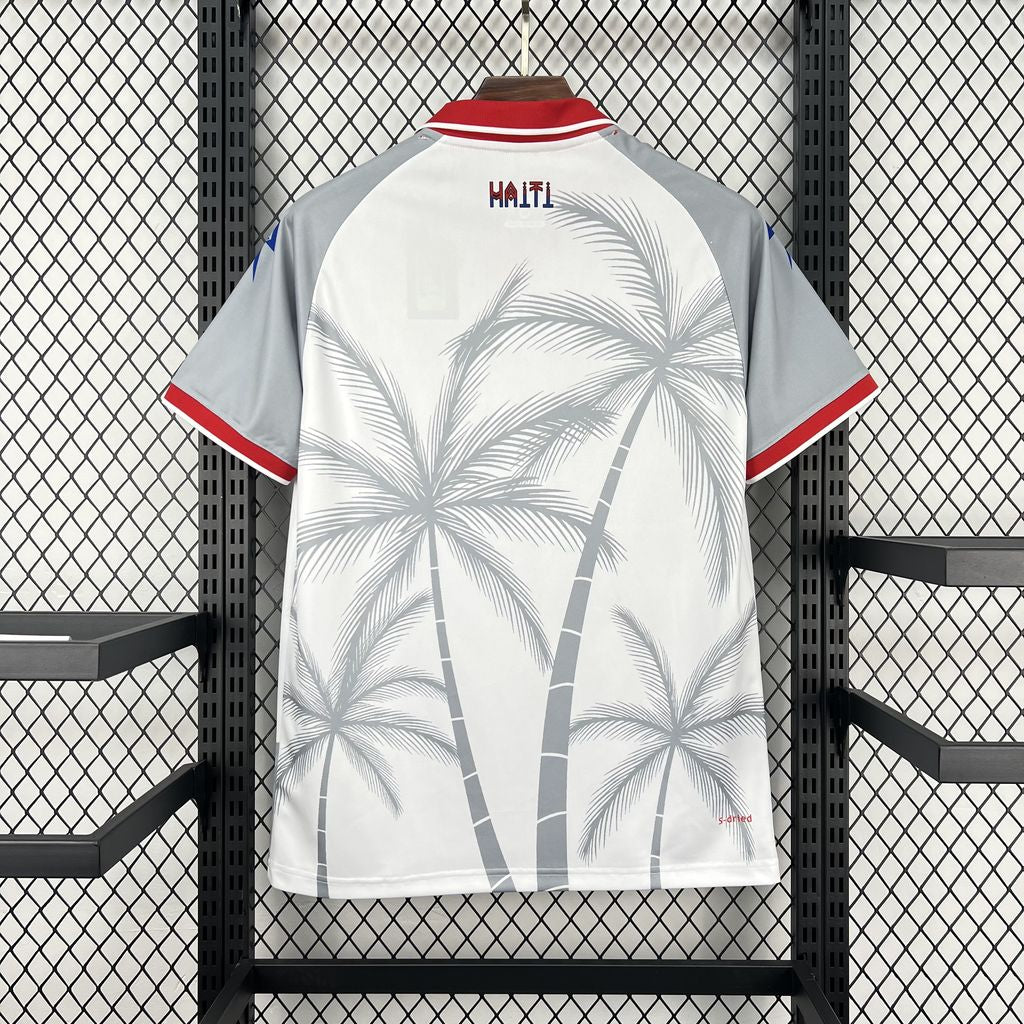 HAITI 2026 BORTATRÖJA