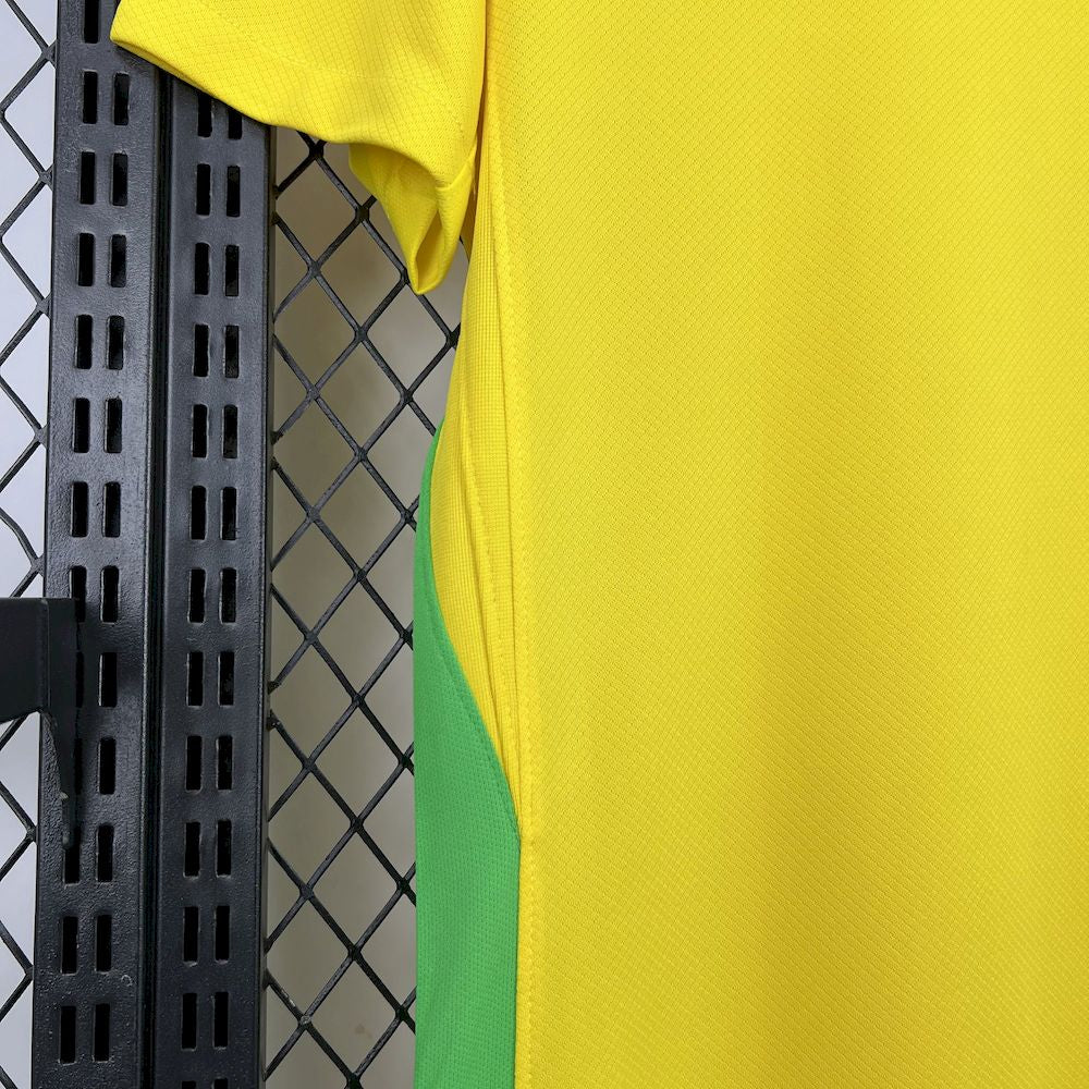BRASILIEN 25-26 HEMMATRÖJA