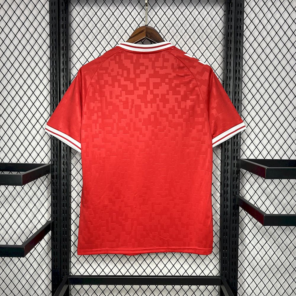 MAILLOT DOMICILE DANEMARK 24-25