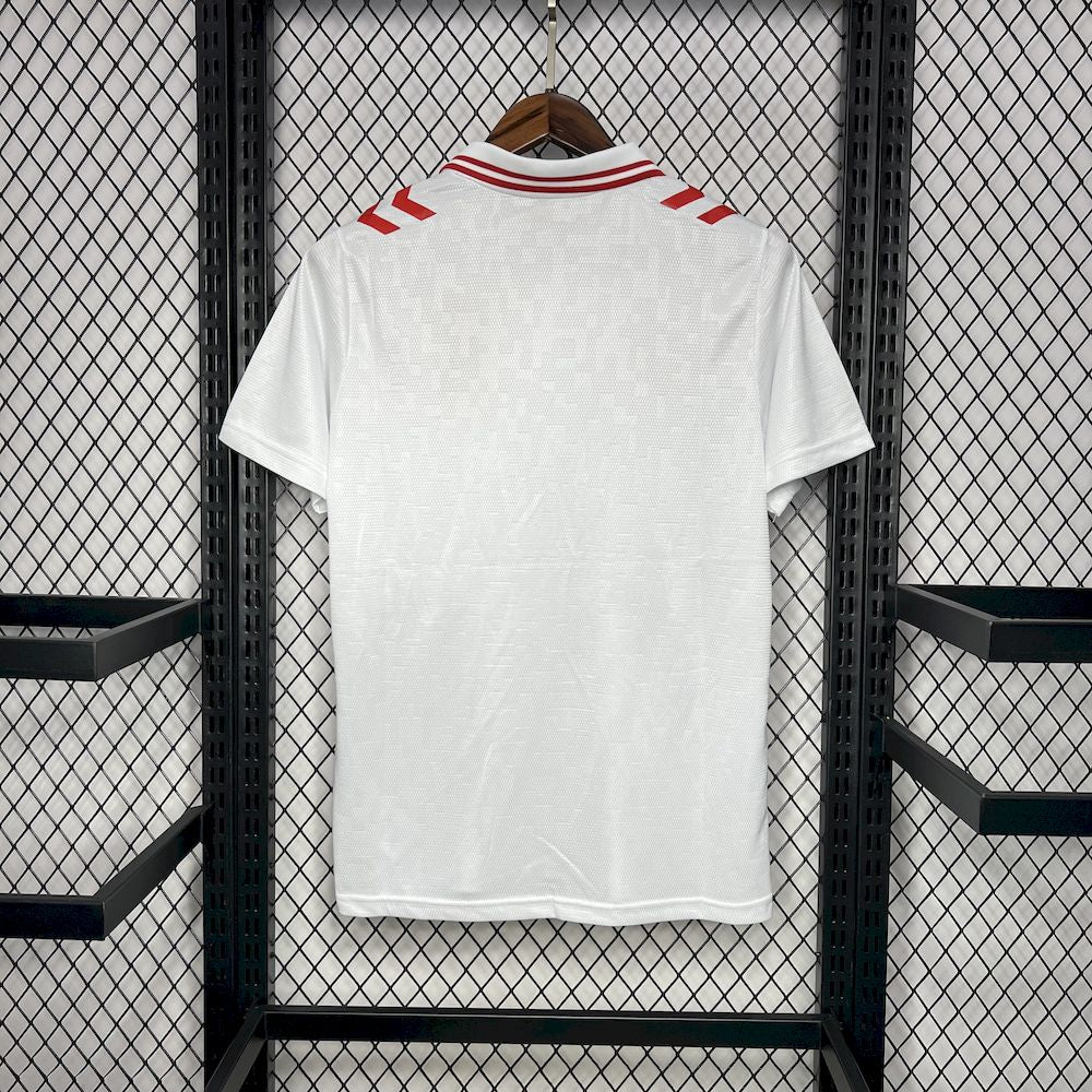 DENMARK 24-25 AWAY SHIRT