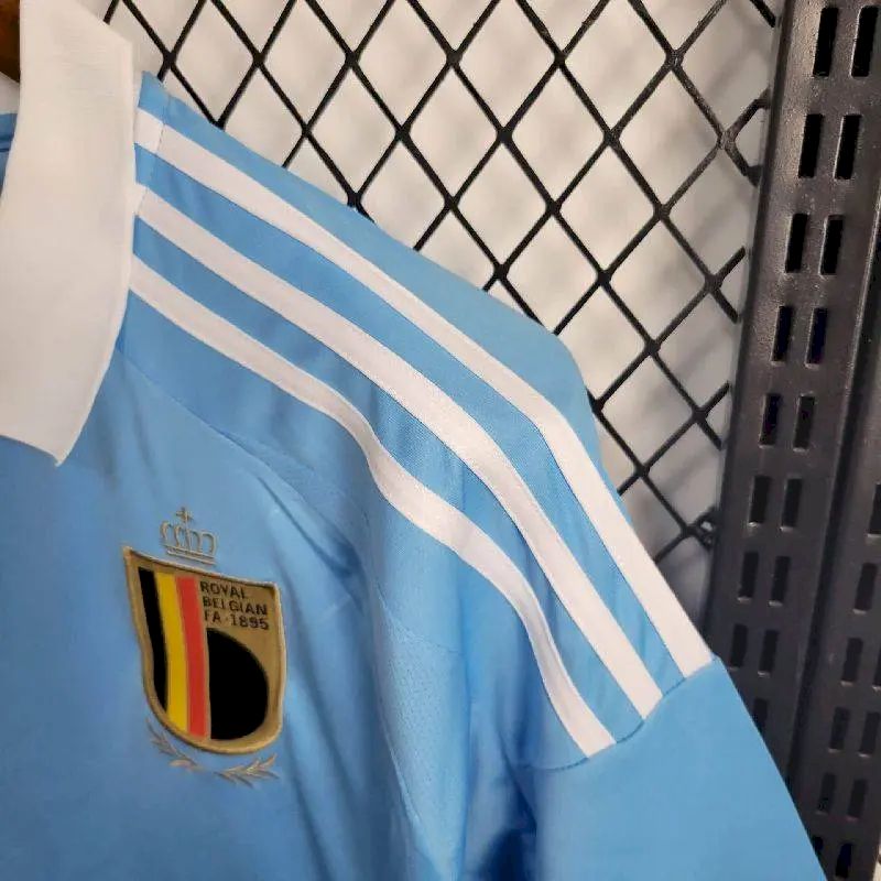 BELGIEN 24-25 BORTATRÖJA