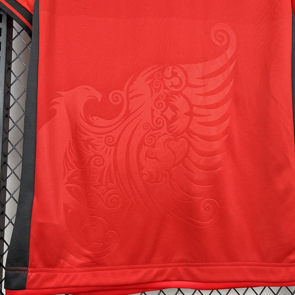ALBANIEN 25-26 HEMMATRÖJA