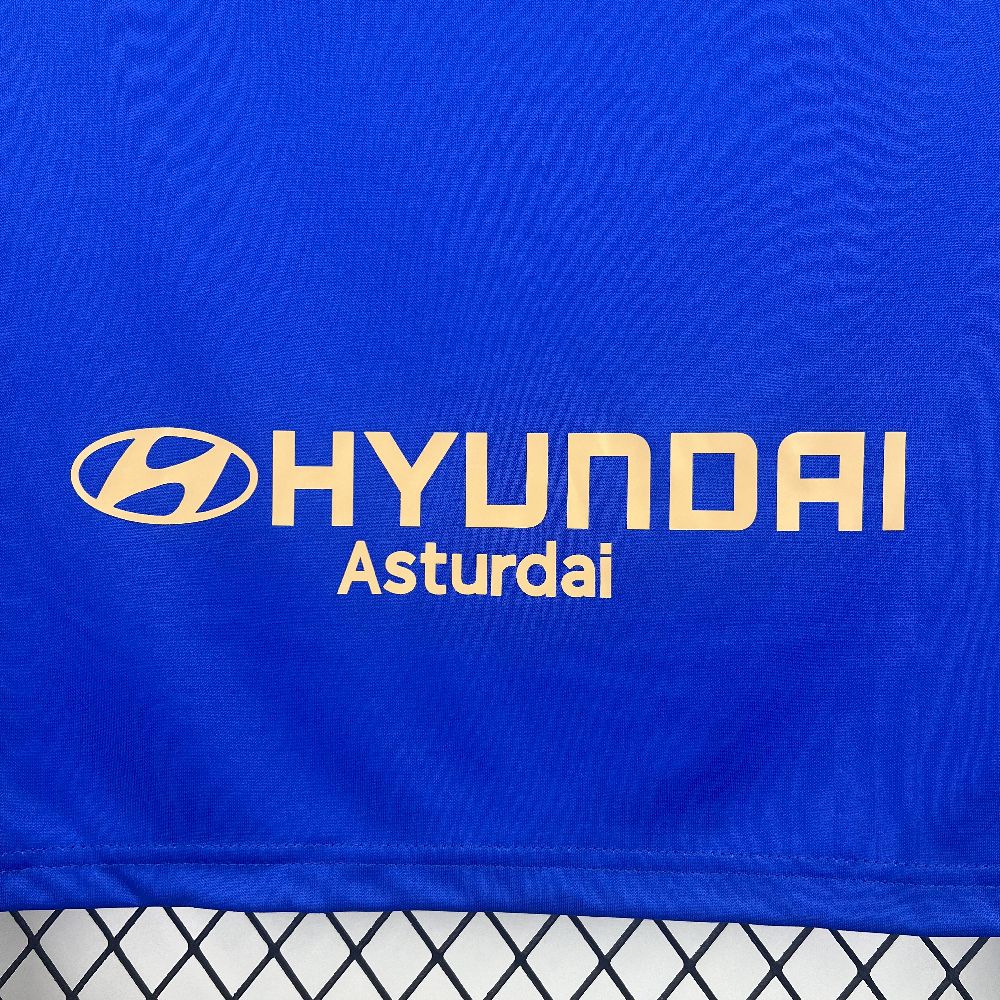 REAL OVIEDO 25-26 HEMMATRÖJA