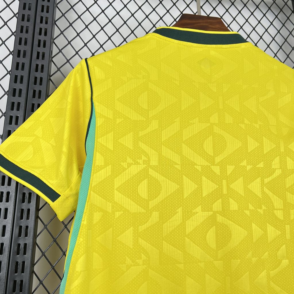 BRASILIEN 2026 HEMMATRÖJA