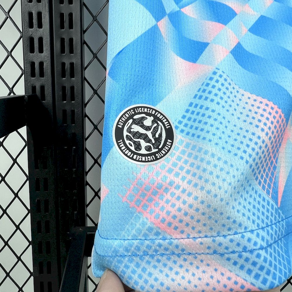 SCHWEIZ 2026 BORTATRÖJA