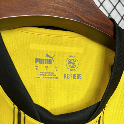 DORTMUND 24-25 HEMMATRÖJA