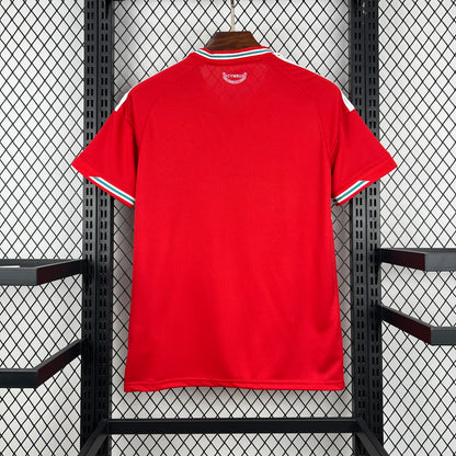 WALES 2026 HEMMATRÖJA