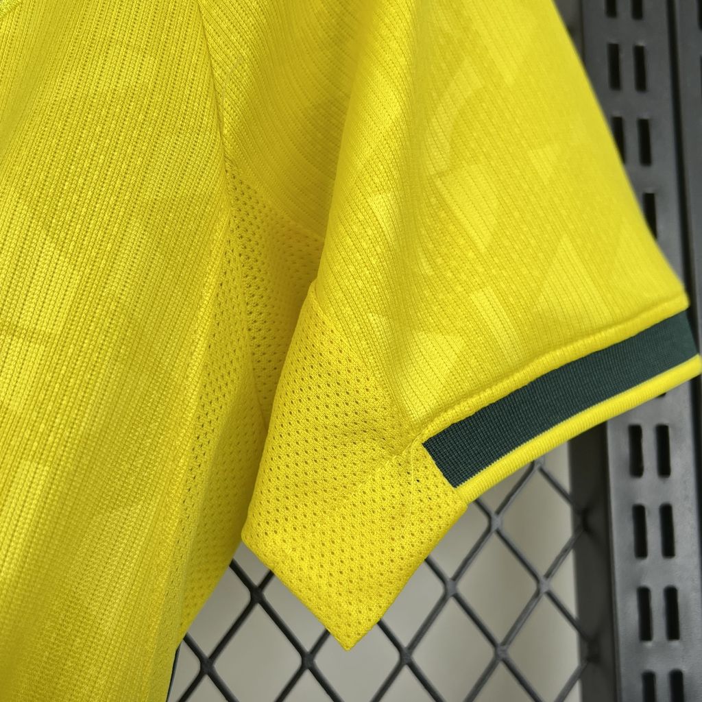 BRASILIEN 2026 HEMMATRÖJA