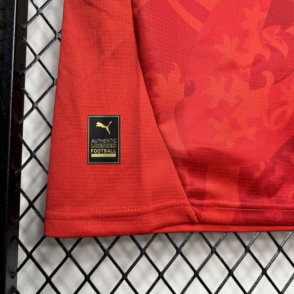 TJECKIEN 24-25 HEMMATRÖJA