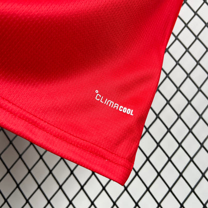 WALES 2026 HEMMATRÖJA