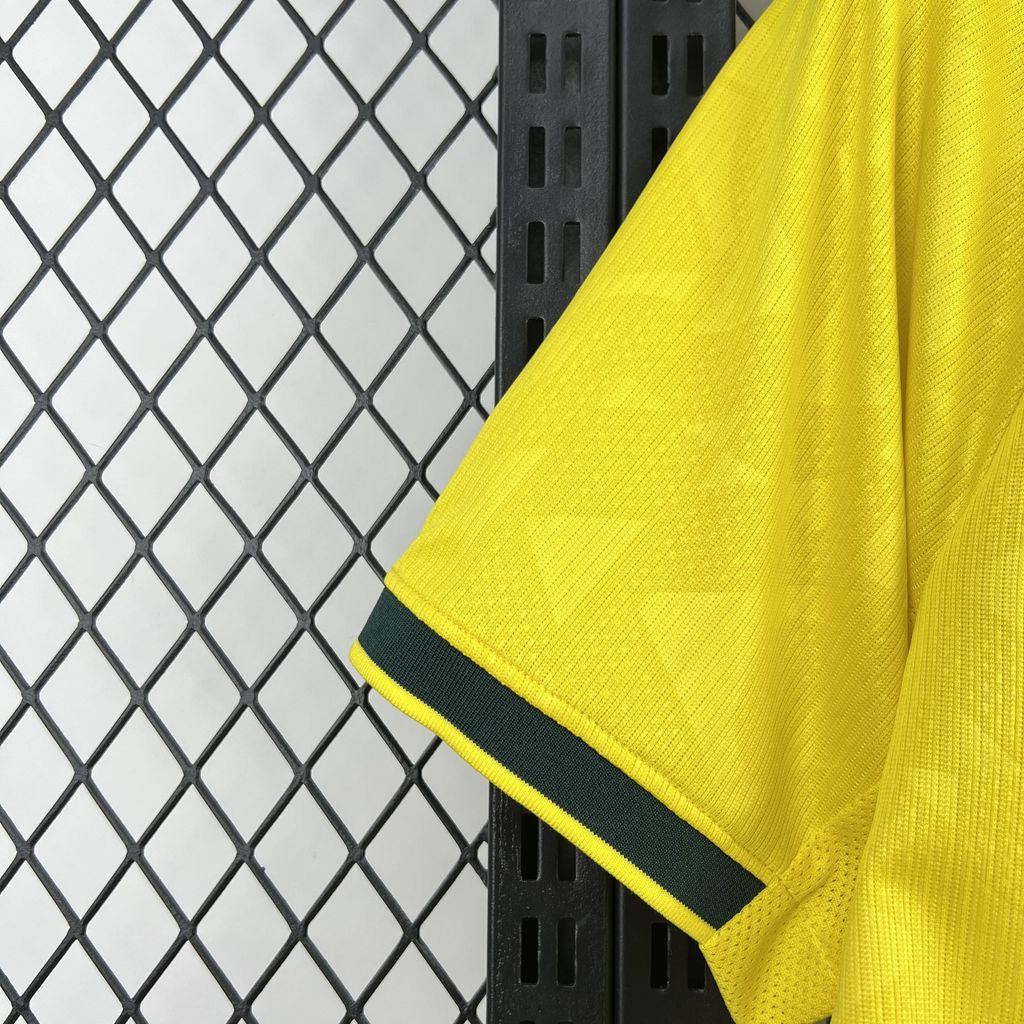 BRASILIEN 2026 HEMMATRÖJA