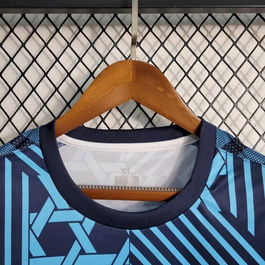 DENMARK - TRAINING SHIRT