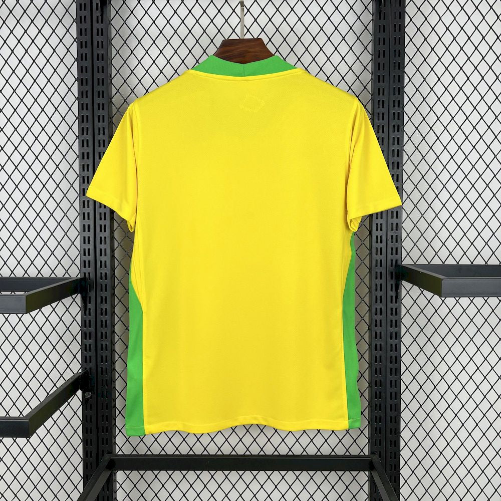 BRASILIEN 25-26 HEMMATRÖJA