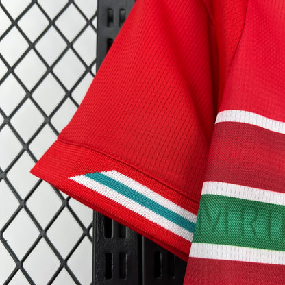 WALES 2026 HEMMATRÖJA