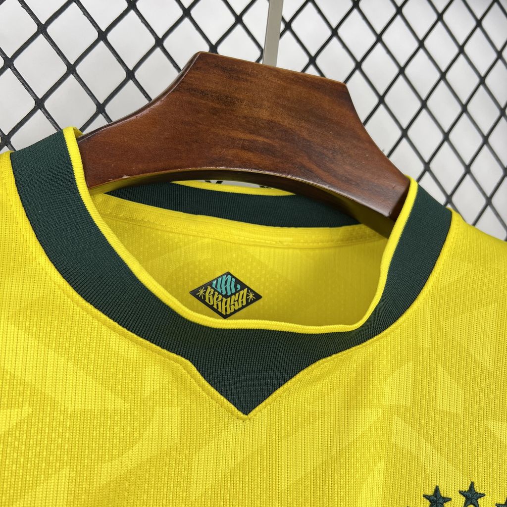 BRASILIEN 2026 HEMMATRÖJA