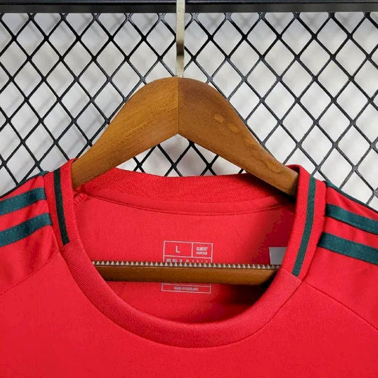 WALES 24-25 AWAY SHIRT